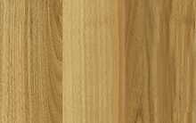M170 OKYANUS